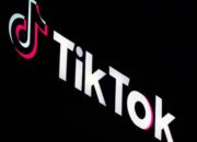 How TikTok Shapes Global Business?