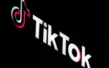 How TikTok Shapes Global Business?