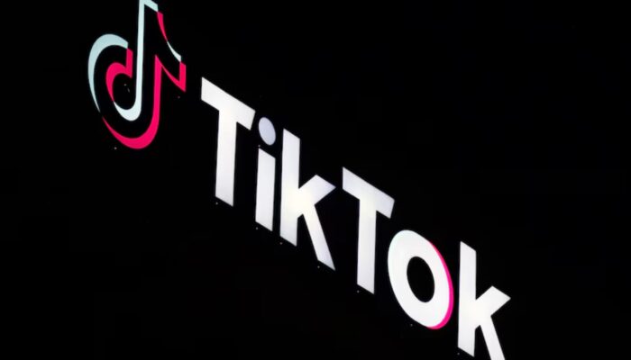 How TikTok Shapes Global Business?