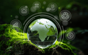 Why Green Business Is the New Competitive Edge?
