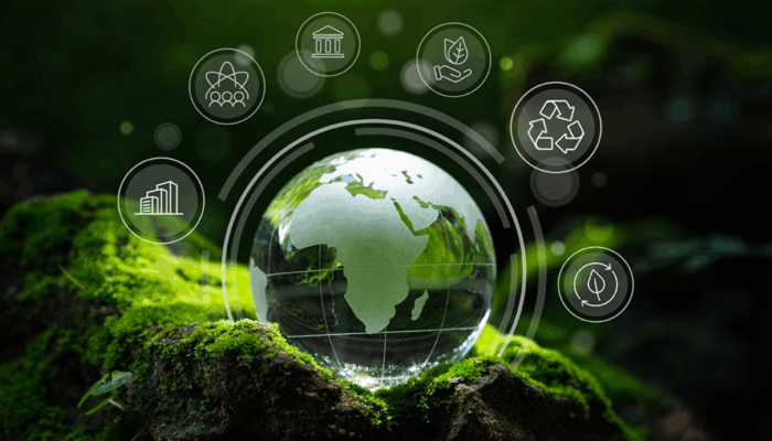 Why Green Business Is the New Competitive Edge?