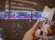 Global Market Opens Higher as Investors Eye Fed Decision: Global Market Update